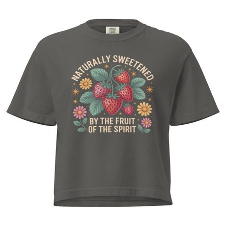 Naturally Sweetened Fruit of the Spirit Comfort Colors Women’s Boxy Christian T-shirt in Grey – Salt and Light Merch