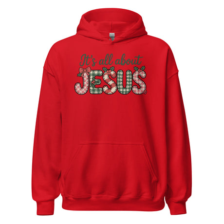 Salt and Light Merch Christmas Hoodie