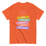 Practice Makes Progress T-shirt